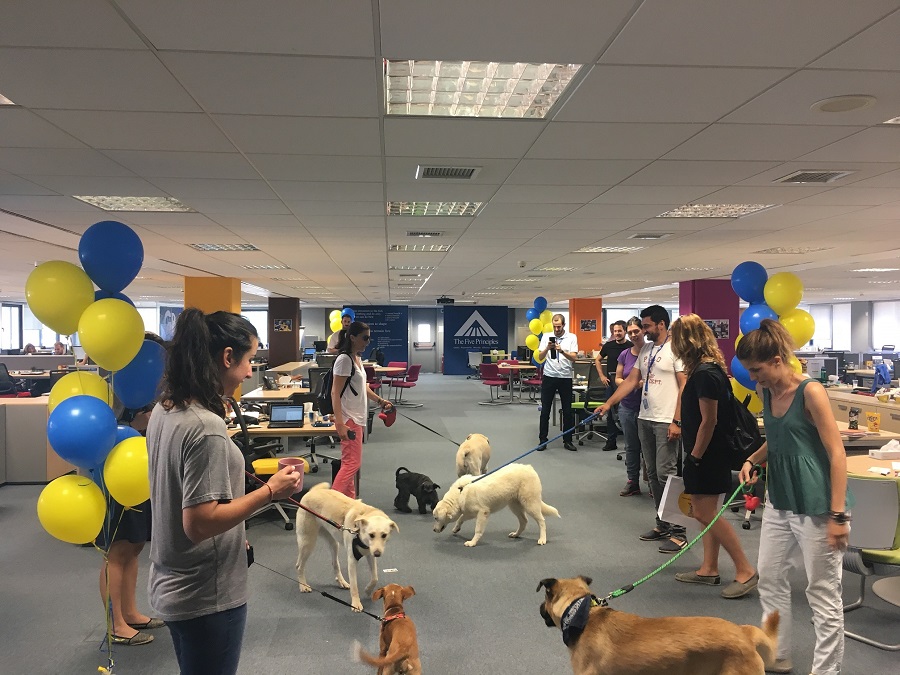 Η Mars Hellas γιόρτασε τον διεθνή θεσμό ‘Take Your Dog To Work Week™’ με την πιο κεφάτη τετράποδη παρέα!