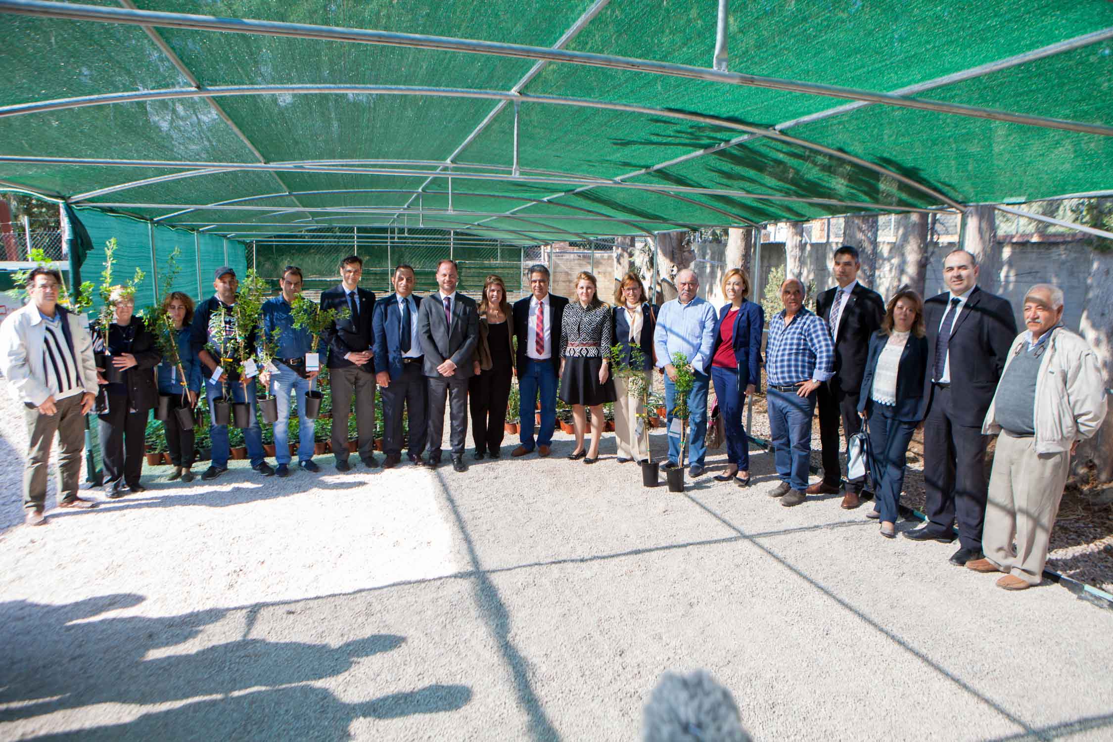 Alpha Bank: 2.000 δενδρύλλια στους μαστιχοπαραγωγούς της Χίου