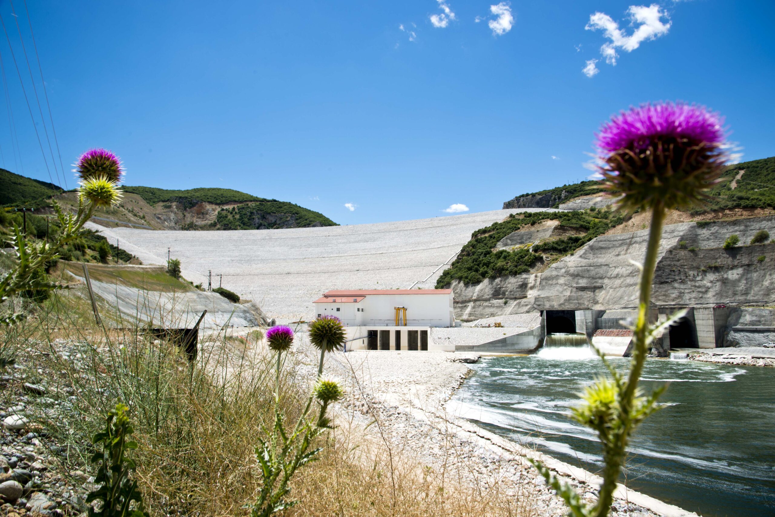 ΔΕΗ: 3.700 στρέμματα για καλλιέργεια αρωματικών φυτών