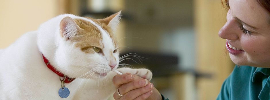 Mars Hellas: Η Παγκόσμια Ημέρα Ζώων είναι κάθε μέρα