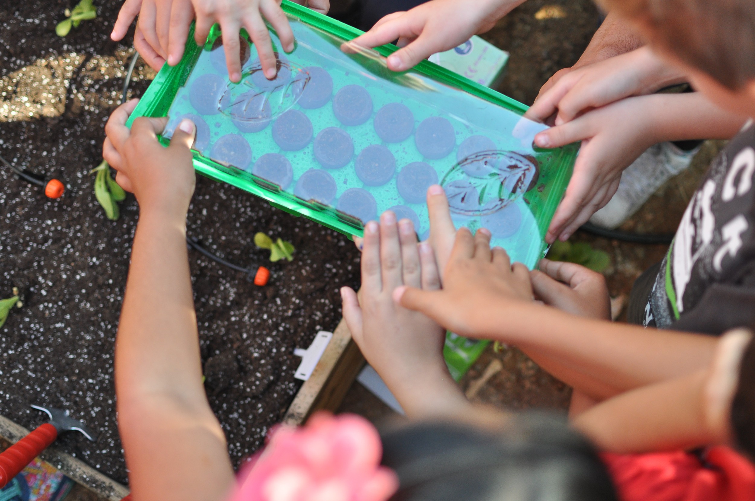 Συνεργασία WWF Ελλάς και Praktiker για υγιή παιδιά σε έναν υγιή πλανήτη