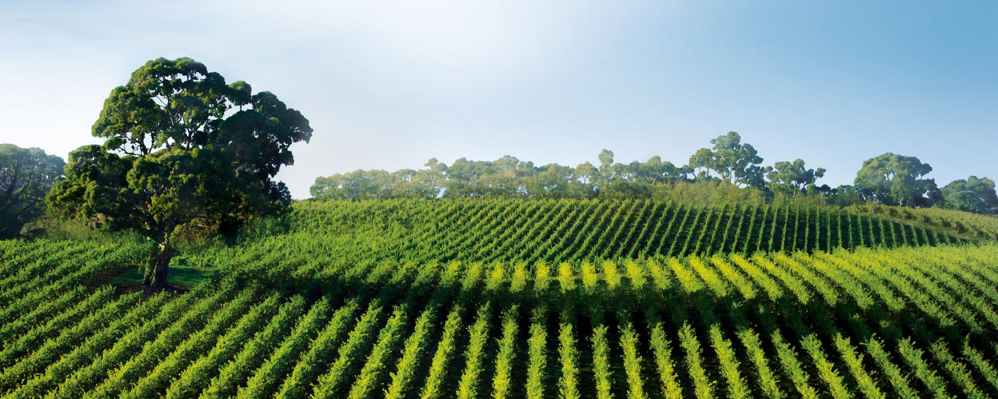 Μέχρι 12/1/2018 οι προτάσεις για τα Ευρωπαϊκά Βραβεία Περιβάλλοντος