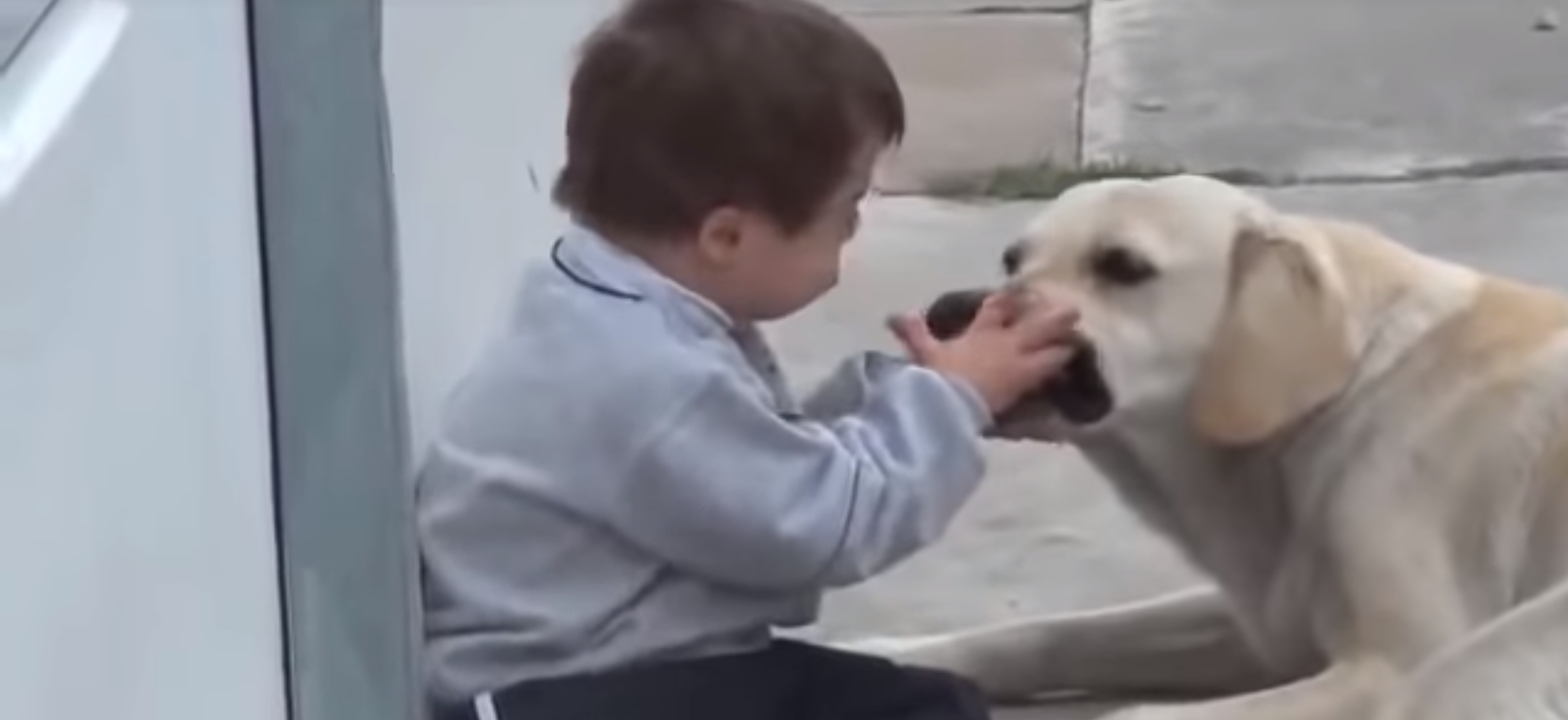 Μικροί ήρωες που συγκινούν