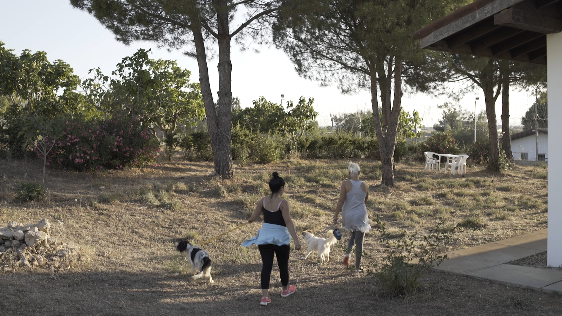 Save a Greek Stray: Συνεργασία με τις Γυναικείες Φυλακές