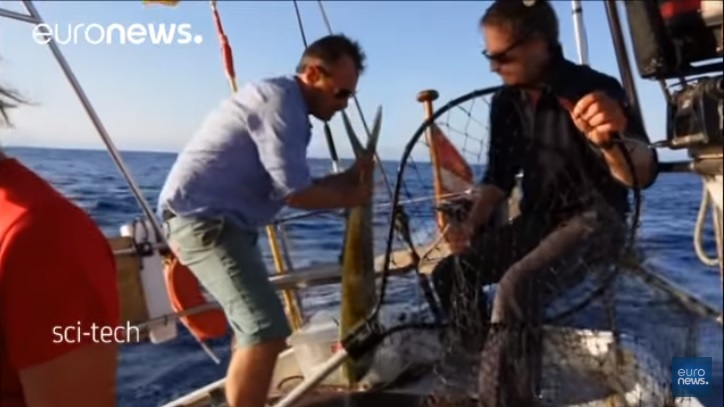 Πού πηγαίνουν τα πλαστικά που ρίχνουμε στη θάλασσα;
