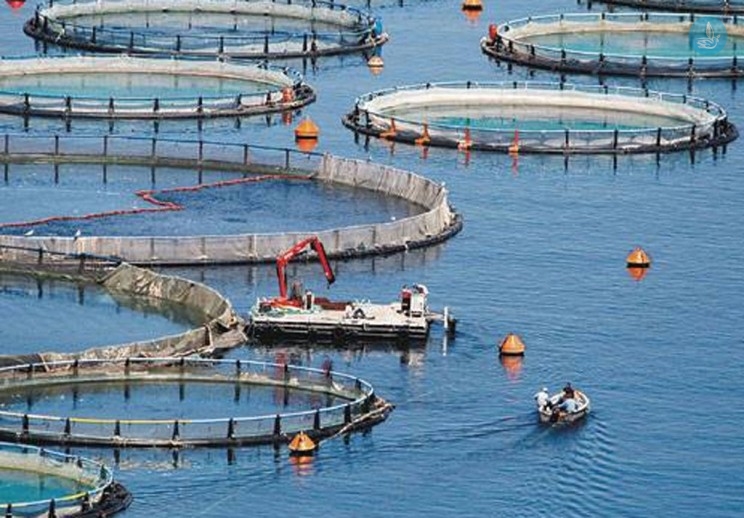 ΣΕΛΟΝΤΑ: Πιστοποίηση με το πρότυπο ASC