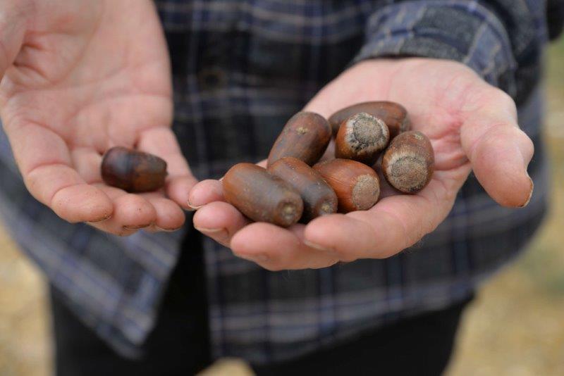 AstraZeneca: Eκστρατεία κατά του Καρκίνου του Πνεύμονα