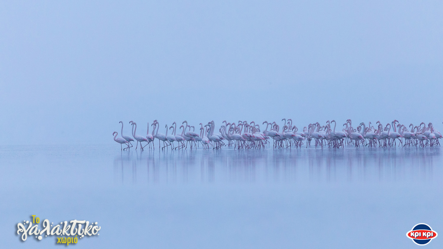 Διάκριση της Κρι-Κρι για το “Γαλακτικό Χωριό”