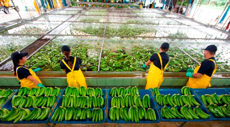 Chiquita: Πρωτοβουλίες για την Παγκόσμια Ημέρα Νερού