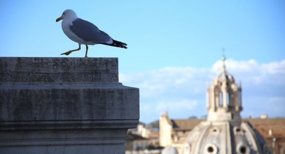 Fiat: #500NatureChallenge – Νέα πρωτοβουλία στα μέσα κοινωνικής δικτύωσης