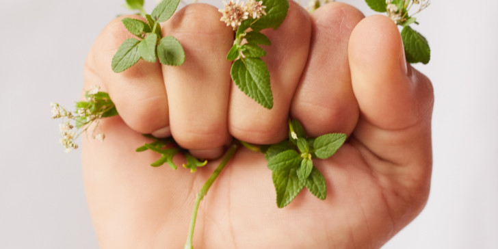 ClimAccelerator, για πιο πράσινες startups