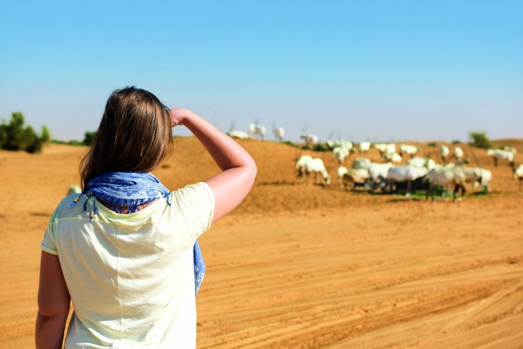 Emirates: 20 χρόνια στήριξης του Πρώτου Εθνικού πάρκου των ΗΑΕ