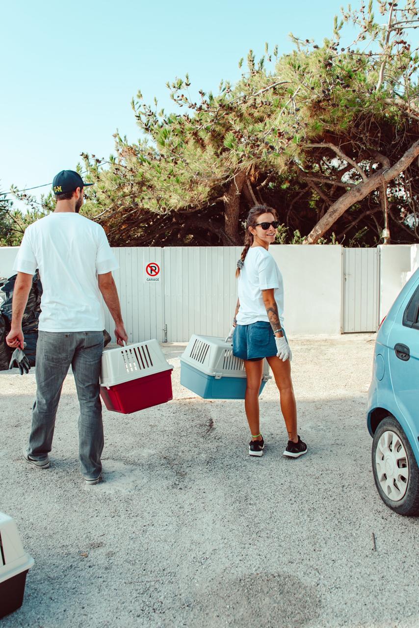 SGS: Δράση στη Μήλο «Με αστείρευτη αγάπη για τα αδέσποτα»