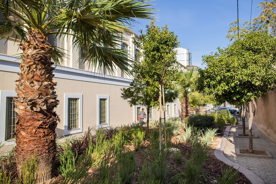 P&G – ΑΒ: Μια ακόμα γειτονιά στην Αθήνα πρασινίζει