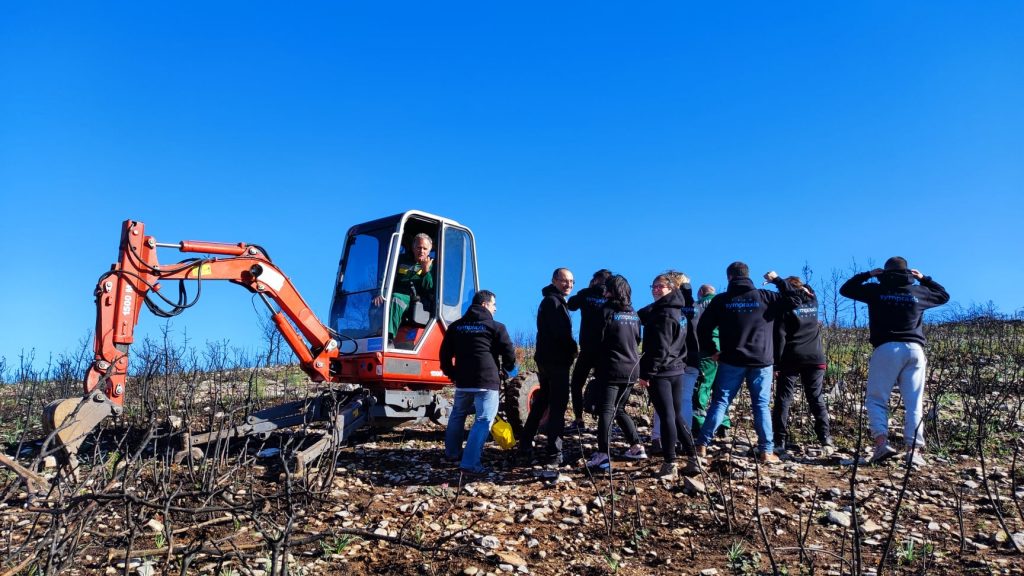 1.000 στρέμματα καμένης έκτασης στην Αττική, θα γίνουν πάλι δάσος
