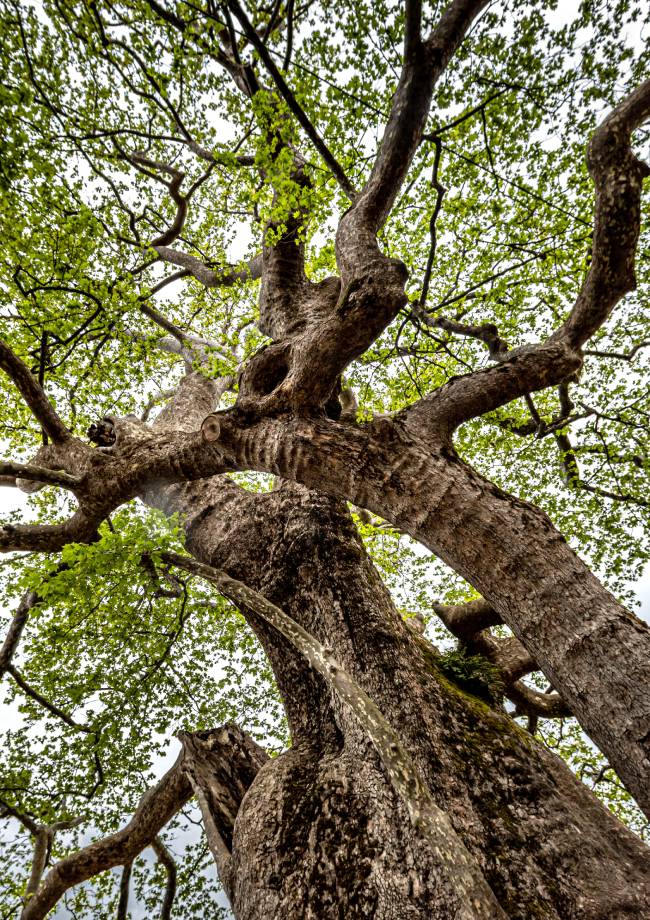 Eκπαιδευτικές δράσεις του προγράμματος Μοριάς ’21 για μαθητές 