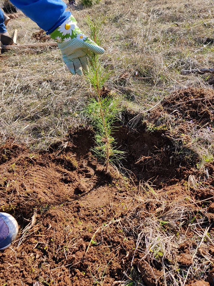 Μαζί για ένα «πράσινο» μέλλον: ALUMIL και we4all