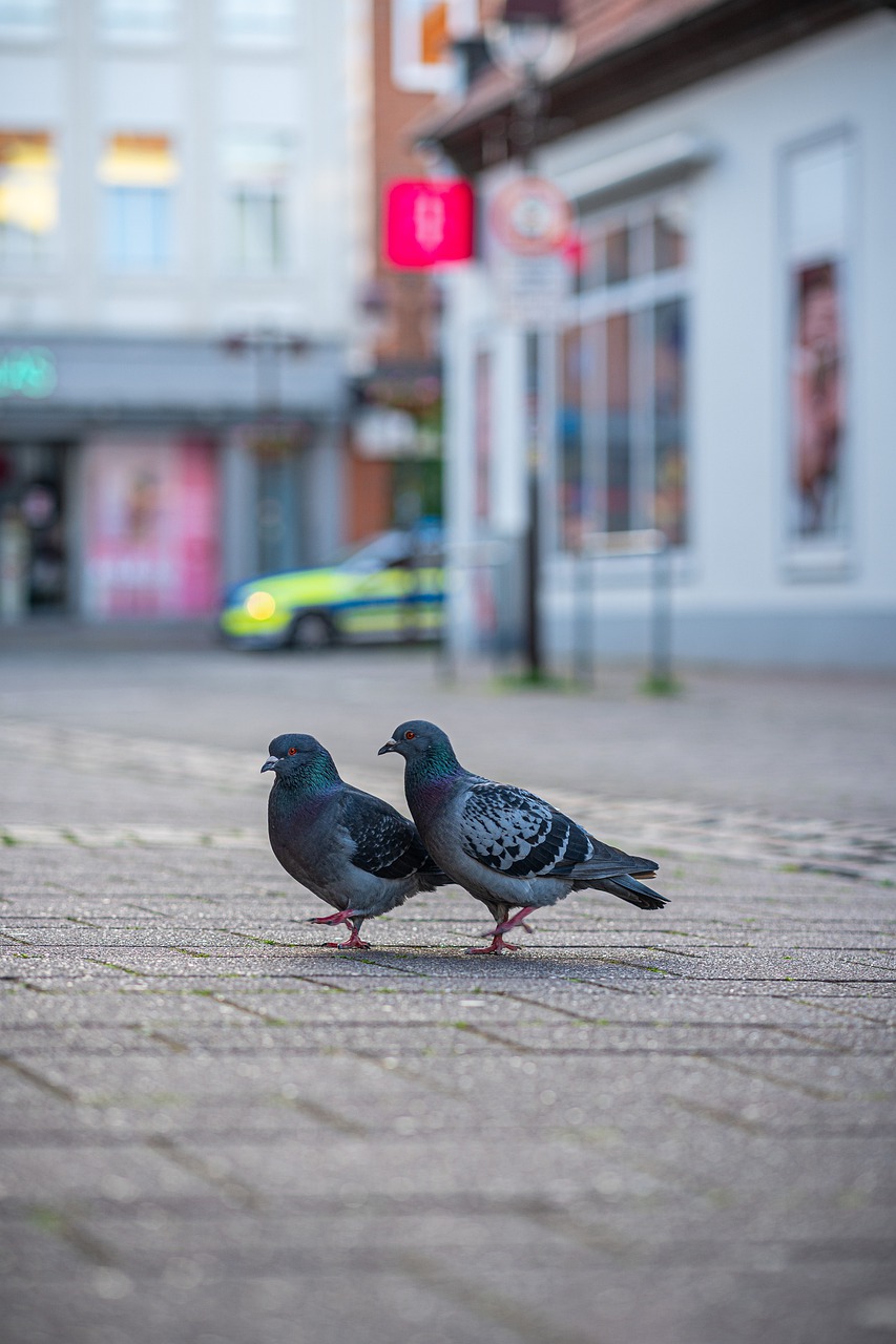 ΕΕΣ: Τίμησε τις ηρωίδες αδελφές Νοσοκόμες του 1940-41