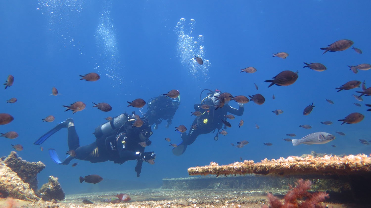 Σ.Κεδίκογλου: Πρότυπο για την προστασία των θαλασσών μας οι ψαράδες της Αμοργού 