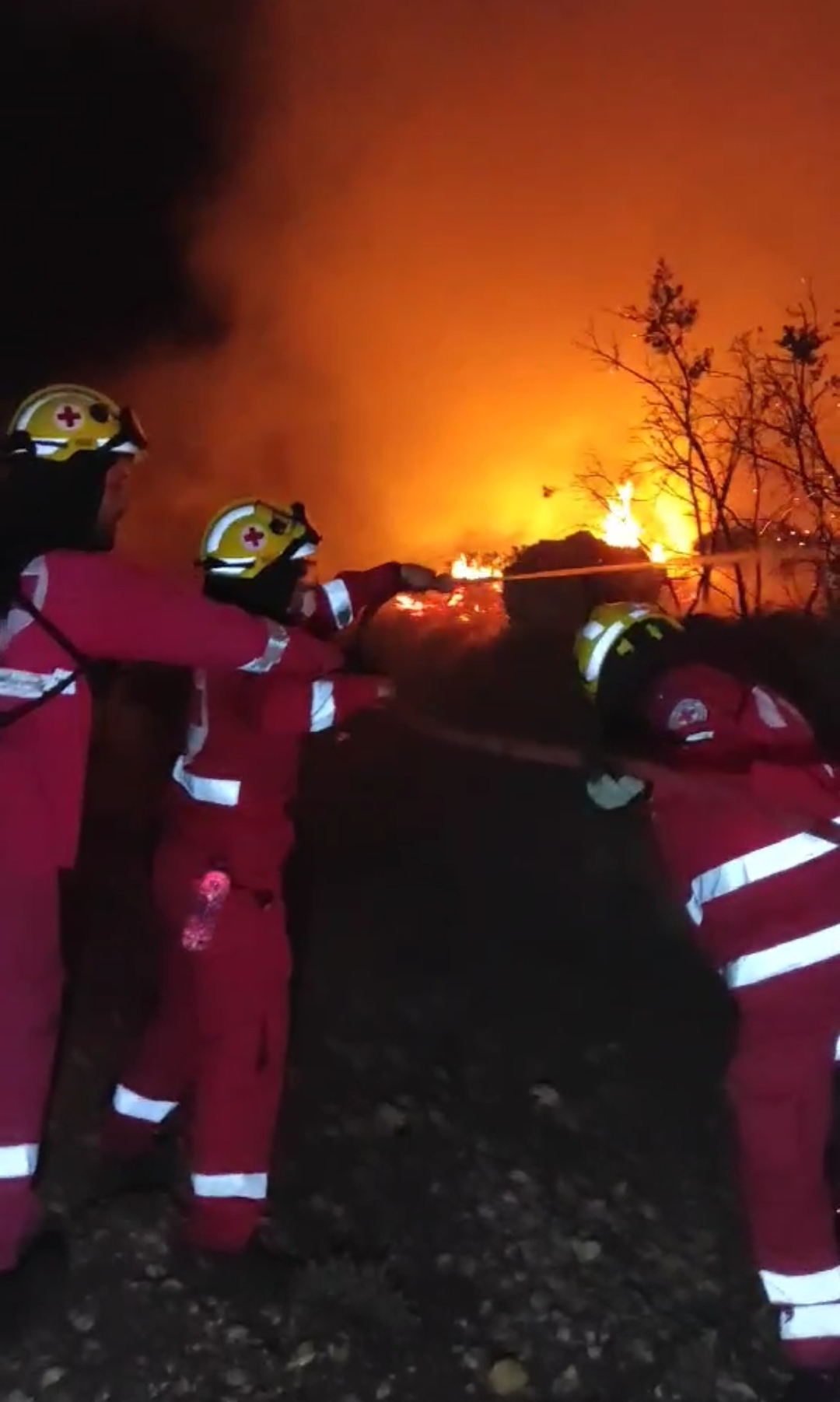 ΕEΣ: Άνοιγμα λογαριασμού και συγκέντρωση τροφίμων για τους πυρόπληκτους