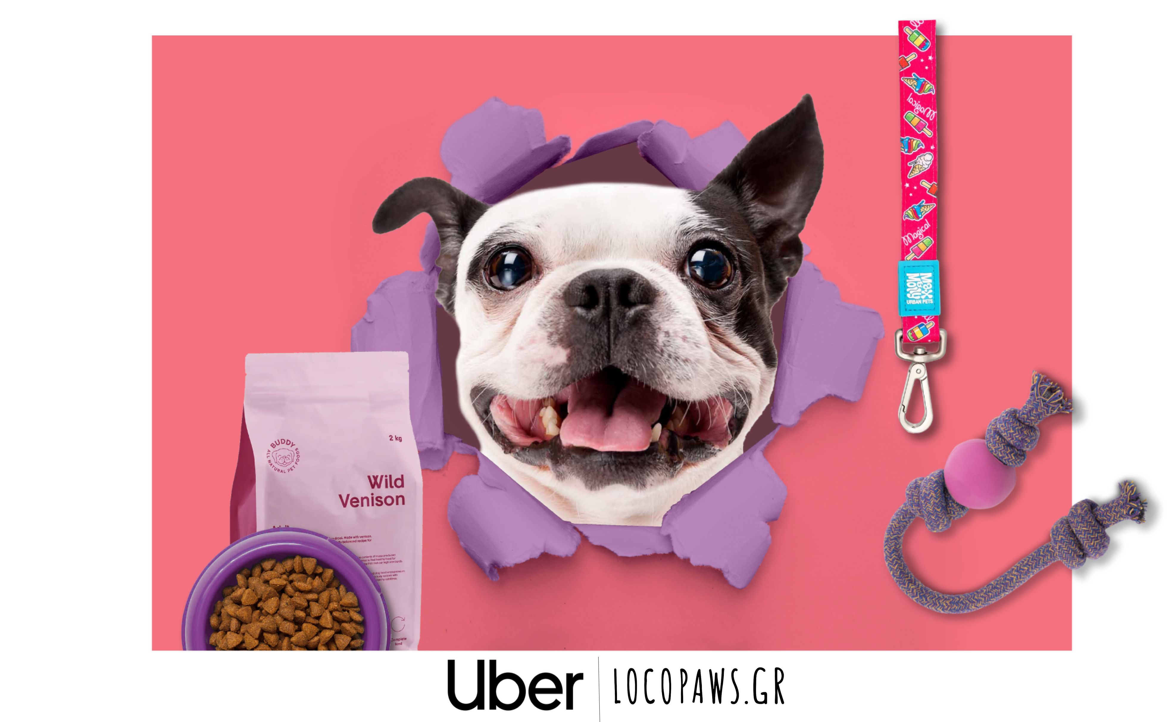 Η Uber πρόσφερε προνόμια στους επιβάτες με κατοικίδια