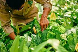 MARS: Σχέδιο δράσης για μείωση των εκπομπών CO2 κατά 50% έως το 2030 