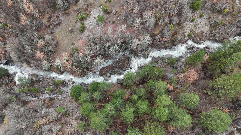 MedINA, Πίνδος, The Green Tank για την προστασία του Αώου