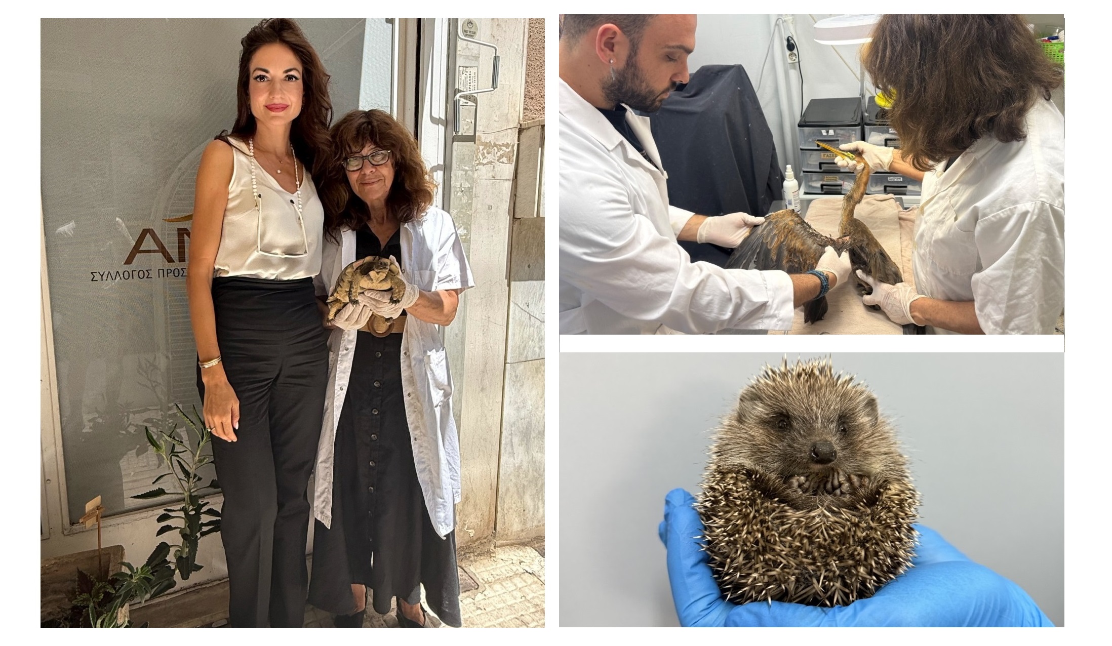 O Όμιλος Επιχειρήσεων Σαρακάκη σταθερός υποστηρικτής του έργου της ΑΝΙΜΑ