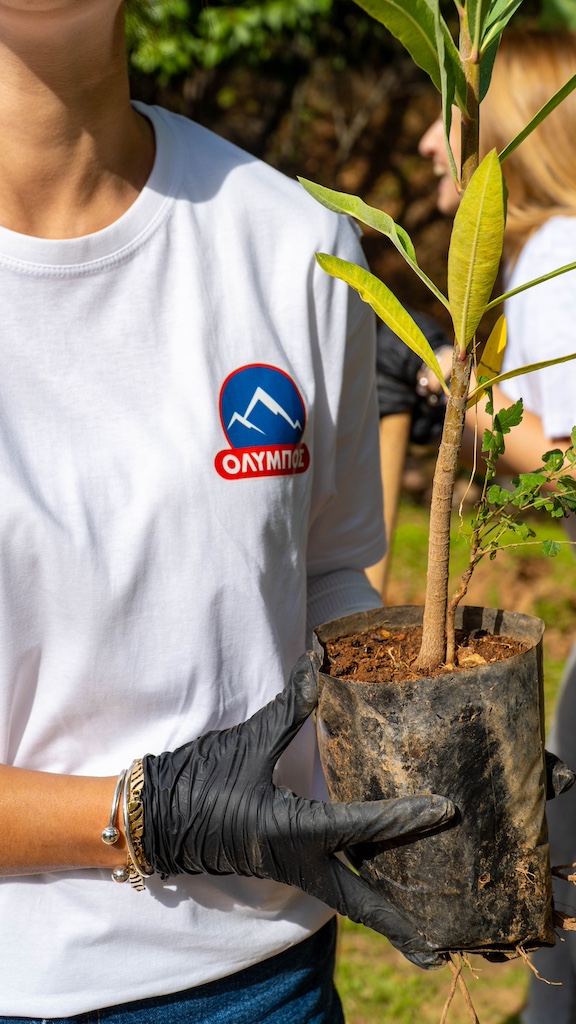 ΟΛΥΜΠΟΣ: 500 δένδρα-ανάσες ζωής σε δήμους και σχολεία της Αττικής